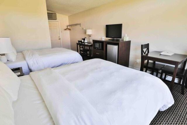 Nader'S Motel & Suites 拉丁顿 外观 照片